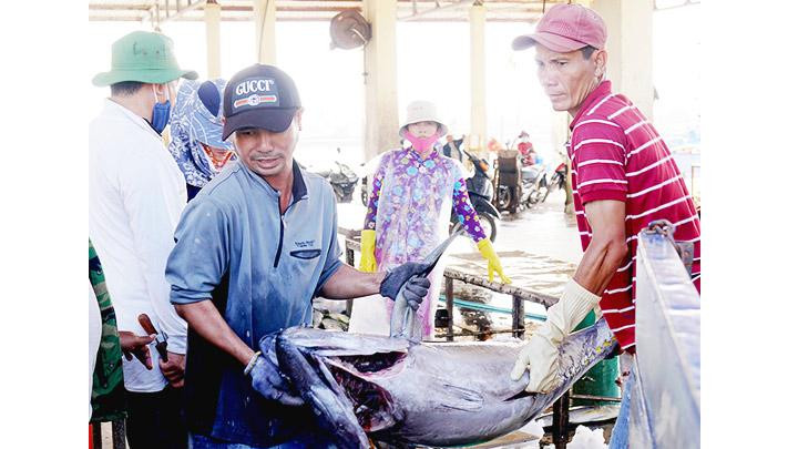 Tám tháng đầu năm nay, ngành thủy hải sản tăng trưởng trung bình 5-8%. Ảnh: HẢI NAM