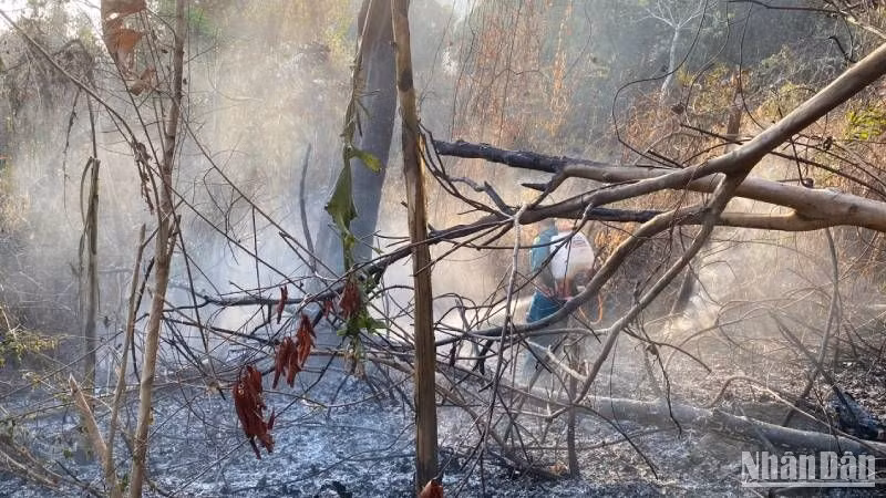 Đám cháy núi Dài đã được khống chế.