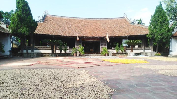 Sân đình vẫn là nơi phơi nông sản của người dân.