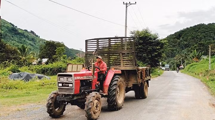 Vận chuyển sầu riêng từ các rẫy về các vựa thu mua. 