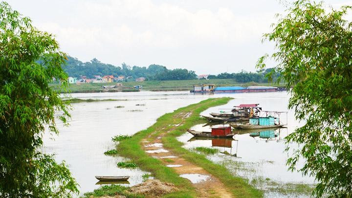 Bãi bồi ven bờ Cửu An.