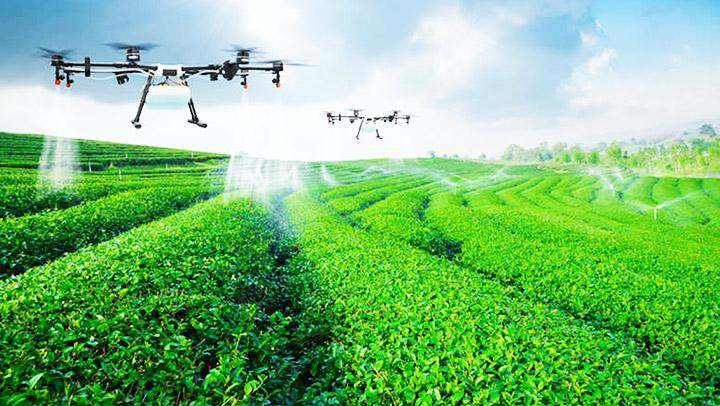 Nhiều nước trên thế giới đầu tư cho vấn đề an ninh lương thực. Ảnh: BUSINESS INSIDER