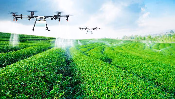 Nhiều nước trên thế giới đầu tư cho vấn đề an ninh lương thực. Ảnh: BUSINESS INSIDER