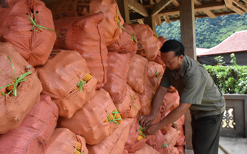 Ông Ly Khua Dơ bảo quản ngô mới thu hoạch.