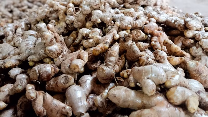 Sản phẩm gừng Kỳ Sơn được Cục Sở hữu trí tuệ cấp Giấy chứng nhận đăng ký chỉ dẫn địa lý từ năm 2019. Gừng Kỳ Sơn có 2 loại, gồm gừng dé và gừng sừng trâu.