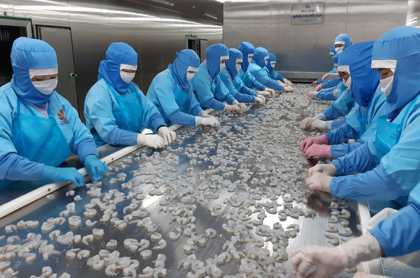 Yêu cầu chất lượng hàng hóa xuất khẩu vào các thị trường đối tác ngày càng đòi hỏi tiêu chuẩn cao hơn, đặc biệt là các mặt hàng nông, thủy sản. 