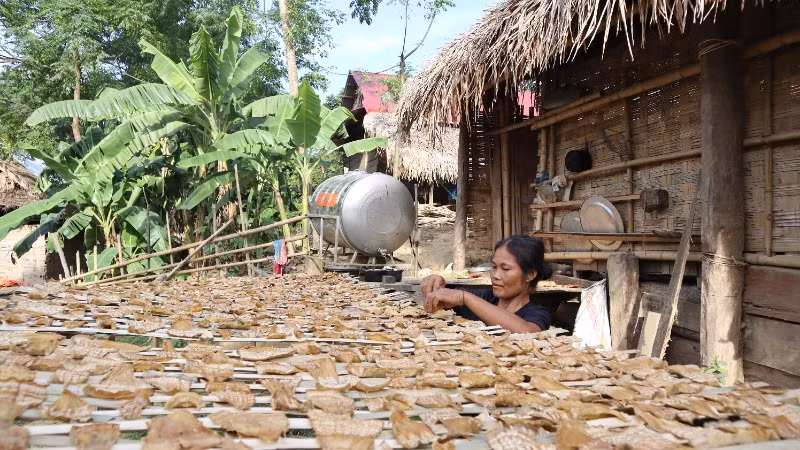 Bản Khe Búng và bản Cò Phạt có tổng số 243 hộ thì có đến 235 hộ nghèo, chiếm tỷ lệ 96,7%. 