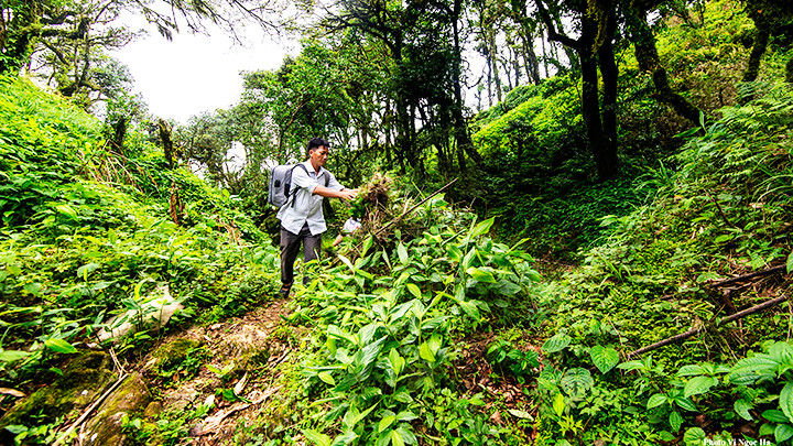 Ngôi mộ gió trên đường lên Nhìu Cồ San.