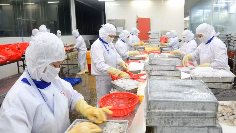Thủy sản Việt Nam là một trong những mặt hàng có mặt tại hệ thống bán lẻ trên nhiều quốc gia trên thế giới. (Ảnh: ĐỨC AN)