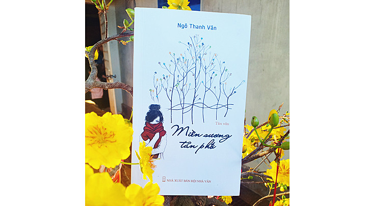 Có một miền sương trên phố