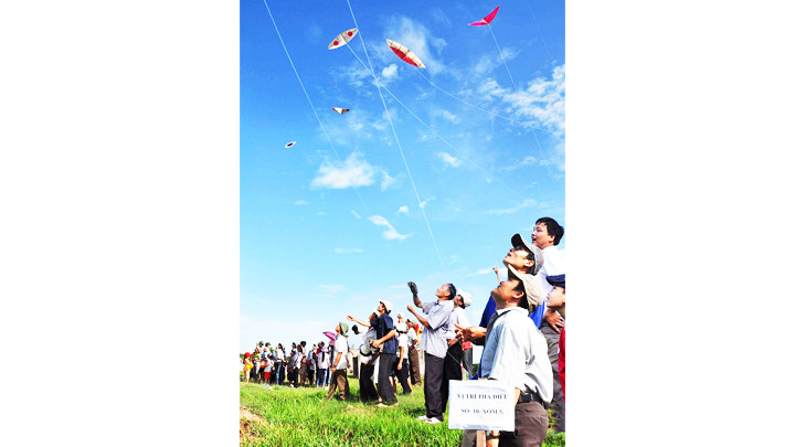 Vui hội diều Hòa Hậu.