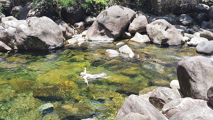 Hoang sơ suối Tiên