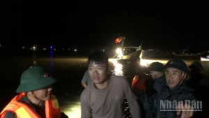 Toàn bộ 30 du khách và 4 thuyền viên được đưa vào bờ an toàn.