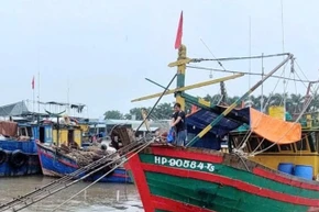 Thành phố Hải Phòng yêu cầu bảo đảm 100% tàu cá đã đăng ký phải viết biển số, đánh dấu tàu cá theo quy định.