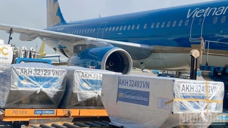 ndo_br_3-lo-hang-ho-tro-dau-tien-duoc-van-chuyen-tren-chuyen-bay-cua-vietnam-airlines-de-chuyen-tiep-den-cac-vung-bi-anh-huong-cua-mua-lu-3373.jpg