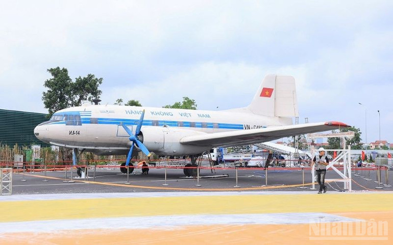 ndo_br_anh-12.jpg