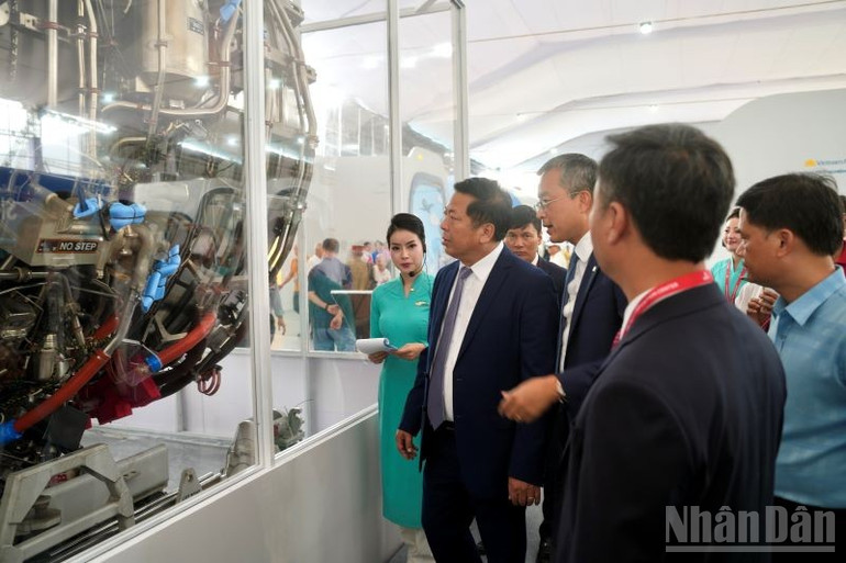 ndo_br_anh-5.jpg