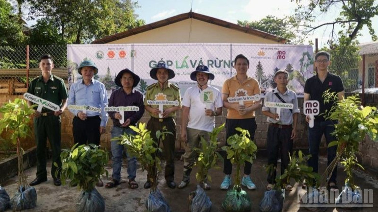 Chương trình nằm trong chuỗi sáng kiến vì môi trường nhằm phục hồi hệ sinh thái rừng, bảo vệ đa dạng sinh học và thúc đẩy lối sống bền vững. ndo_br_1-chuong-trinh-gop-la-va-rung-gop-phan-phuc-hoi-he-sinh-thai-bao-ve-da-dang-sinh-hoc-thuc-day-loi-song-ben-vung-7718.jpg