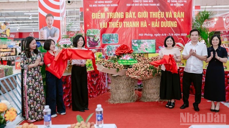 Khách tham quan hào hứng trải nghiệm vải thiều Thanh Hà. ndo_br_1-cac-dai-bieu-thuc-hien-nghi-thuc-cat-bang-khai-truong-mo-ban-san-pham-vai-thieu-thanh-ha-tai-he-thong-go.jpg