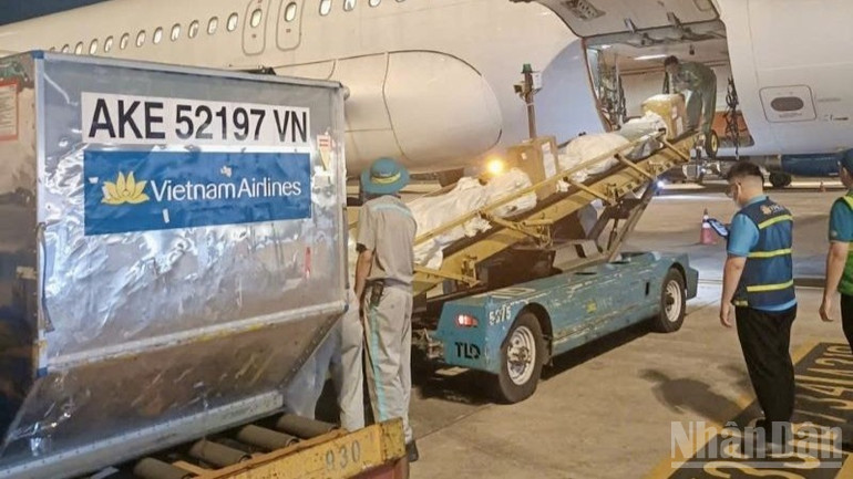 Vietnam Airlines ưu tiên tải chất xếp hàng hóa hỗ trợ vùng mưa lũ miền trung để vận chuyển nhanh nhất có thể, kịp thời đến được đồng bào vùng lũ lụt bị ảnh hưởng. ndo_br_3-vietnam-airlines-uu-tien-tai-chat-xep-hang-hoa-ho-tro-vung-mua-lu-mien-trung-de-van-chuyen-nhanh-nhat-co-the-kip-thoi-den-duoc-dong-bao-vung-lu-lut-bi-anh-huong-1202.jpg