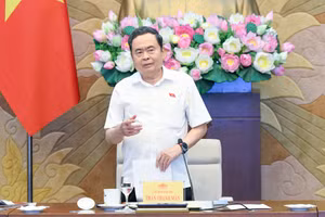 Chủ tịch Quốc hội Trần Thanh Mẫn phát biểu tại cuộc làm việc. (Ảnh: DUY LINH) 