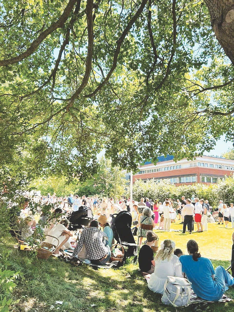 Ngày hạ chí rộn ràng.