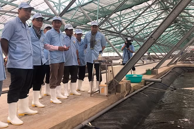 Các nhà khoa học của Đại học Quốc gia Thành phố Hồ Chí Minh tư vấn cho một doanh nghiệp nuôi tôm ở Cà Mau. (Ảnh: Báo Nhân Dân)