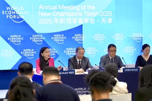 Họp báo về Hội nghị các nhà tiên phong của WEF. (Ảnh: Tân Hoa Xã)