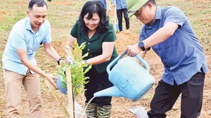 Lãnh đạo Sở Nông nghiệp và Môi trường Điện Biên cùng đoàn chuyên gia khảo sát thực địa lựa chọn điểm xây dựng công trình hồ chứa nước Sái Lương tại tỉnh Điện Biên.