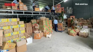 [Video] Hơn 36.000 sản phẩm thực phẩm và giấy vệ sinh nhập lậu bị thu giữ tại Cao Bằng