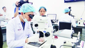 Hoạt động nghiên cứu khoa học và công nghệ tại Đại học Quốc gia Thành phố Hồ Chí Minh.