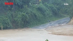 [Video] Cảnh báo mưa lớn, gió giật mạnh tại nhiều khu vực trên cả nước