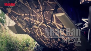 [Video] Patria AMV - Xe bọc thép đa năng với cấu hình vũ khí linh hoạt nhất thế giới