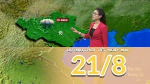 [Video] Dự báo thời tiết đêm nay và ngày mai 21/8/2025: Mưa lớn chỉ còn tập trung ở vùng núi Bắc Bộ 