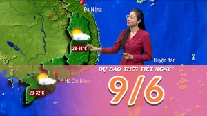 [Video] Dự báo thời tiết ngày 9/6/2025: Bắc Bộ có mưa dông về chiều tối