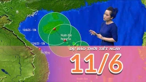[Video] Dự báo thời tiết ngày 11/6/2025: Áp thấp nhiệt đới mạnh lên thành bão