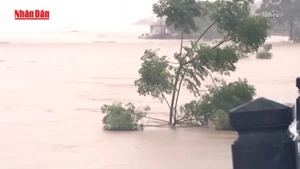 [Video] Cảnh báo nguy cơ lũ quét và sạt lở đất ở Bắc Bộ do mưa lớn kéo dài