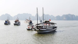 Tỉnh Quảng Ninh vừa tạm dừng cấp phép đối với các phương tiện thủy vận chuyển khách trên địa bàn. Ảnh: MINH LÊ