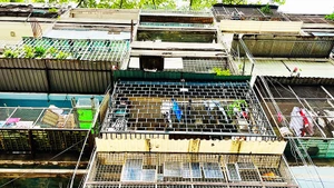Cư xá Lý Thường Kiệt, phường Diên Hồng, Thành phố Hồ Chí Minh trong tình trạng cũ, nhiều “chuồng cọp”, tiềm ẩn nguy cơ cháy nổ.