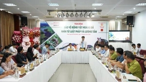 Quang cảnh tọa đàm.