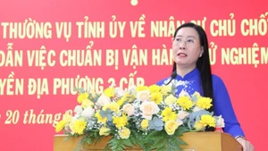 Đồng chí Bùi Thị Quỳnh Vân, Bí thư Tỉnh ủy, Chủ tịch Ủy ban nhân dân tỉnh Quảng Ngãi phát biểu tại hội nghị.