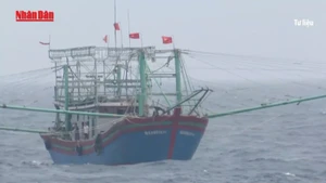 [Video] Biển Đông có thể đón 7 cơn bão trong 3 tháng tới