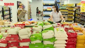 [Video] Chốt giảm 2% thuế VAT đến hết năm 2026