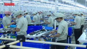 [Video] Nhu cầu tuyển dụng lớn công nhân lao động cho các khu công nghiệp phía Bắc