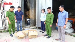[Video] Phát hiện kho chứa 11 tấn thực phẩm hết hạn, không nguồn gốc tại Bình Dương