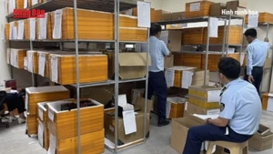 [Video] Phạt doanh nghiệp kinh doanh hơn 4000 pin điện thoại nhập lậu