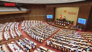 [Video] Ngày 16/6, Quốc hội biểu quyết thông qua Nghị quyết sửa đổi, bổ sung một số điều của Hiến pháp