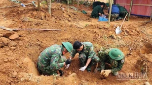 Đội Quy tập hài cốt liệt sĩ Đoàn Kinh tế-Quốc phòng 337 tìm kiếm, cất bốc tại khu vực thôn Xa Re, xã Khe Sanh, tỉnh Quảng Trị.