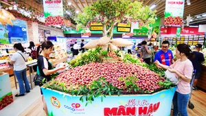 Người tiêu dùng với Lễ hội mận hậu Sơn La tại Saigon Co.op.