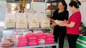Giống lúa làng Giành đã được công nhận sản phẩm OCOP 3 sao.